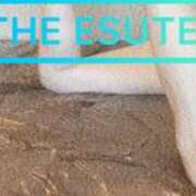 ヒメ日記 2026/02/16 18:47 投稿 ひびき THE ESUTE 渋谷