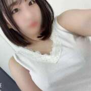 ヒメ日記 2025/04/24 12:17 投稿 まふゆ 黒い金魚（札幌）