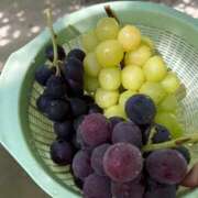 ヒメ日記 2025/10/06 16:56 投稿 るな☆即即高級サービス ROYAL CLUB姫