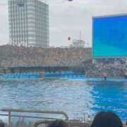 ヒメ日記 2025/10/10 15:56 投稿 るな☆即即高級サービス ROYAL CLUB姫