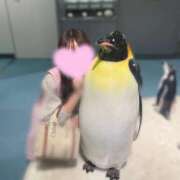 ヒメ日記 2025/10/10 22:26 投稿 るな☆即即高級サービス ROYAL CLUB姫