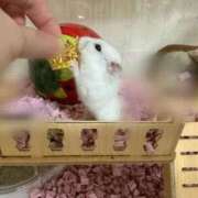 ヒメ日記 2026/03/04 14:16 投稿 るな☆即即高級サービス ROYAL CLUB姫