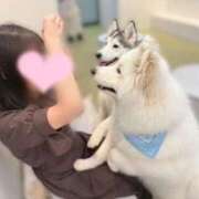 ヒメ日記 2026/03/15 18:26 投稿 るな☆即即高級サービス ROYAL CLUB姫