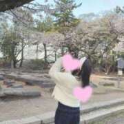 ヒメ日記 2026/04/03 19:32 投稿 るな☆即即高級サービス ROYAL CLUB姫
