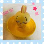 ヒメ日記 2025/01/24 19:07 投稿 あゆみ 桃李（とうり）