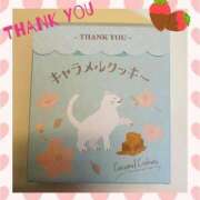 ヒメ日記 2025/01/28 19:14 投稿 あゆみ 桃李（とうり）