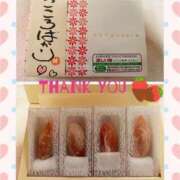 ヒメ日記 2025/02/26 23:43 投稿 あゆみ 桃李（とうり）