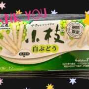 ヒメ日記 2025/10/04 19:04 投稿 あゆみ 桃李（とうり）