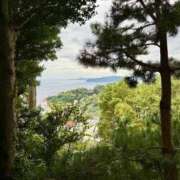 ヒメ日記 2025/11/03 19:04 投稿 あゆみ 桃李（とうり）