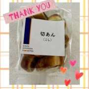 ヒメ日記 2025/12/19 19:14 投稿 あゆみ 桃李（とうり）