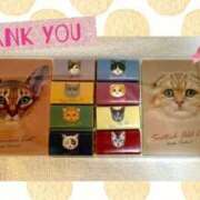 ヒメ日記 2026/01/17 19:04 投稿 あゆみ 桃李（とうり）