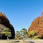 ヒメ日記 2024/12/14 09:10 投稿 きょうか 錦糸町ミセスアロマ（ユメオト）