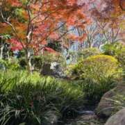 ヒメ日記 2024/12/23 14:05 投稿 きょうか 錦糸町ミセスアロマ（ユメオト）