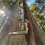 ヒメ日記 2025/02/19 10:05 投稿 きょうか 錦糸町ミセスアロマ（ユメオト）