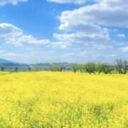 ヒメ日記 2025/03/18 12:18 投稿 きょうか 錦糸町ミセスアロマ（ユメオト）