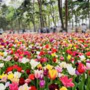 ヒメ日記 2025/03/20 14:17 投稿 きょうか 錦糸町ミセスアロマ（ユメオト）