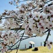 ヒメ日記 2025/04/11 13:20 投稿 きょうか 錦糸町ミセスアロマ（ユメオト）