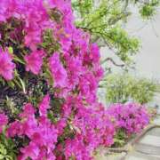 ヒメ日記 2025/05/02 07:17 投稿 きょうか 錦糸町ミセスアロマ（ユメオト）