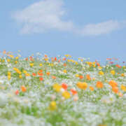 ヒメ日記 2025/05/14 13:13 投稿 きょうか 錦糸町ミセスアロマ（ユメオト）