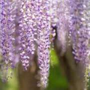 ヒメ日記 2025/05/27 14:27 投稿 きょうか 錦糸町ミセスアロマ（ユメオト）