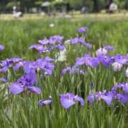 ヒメ日記 2025/06/18 15:01 投稿 きょうか 錦糸町ミセスアロマ（ユメオト）