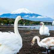 ヒメ日記 2025/12/10 12:49 投稿 きょうか 錦糸町ミセスアロマ（ユメオト）