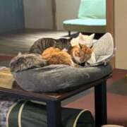 きょうか 癒し♡ 錦糸町ミセスアロマ（ユメオト）