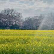 きょうか 🌸 錦糸町ミセスアロマ（ユメオト）
