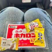 ヒメ日記 2024/12/15 08:46 投稿 さつき コートダジュール