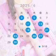 ヒメ日記 2025/05/23 11:02 投稿 さつき コートダジュール