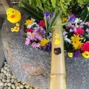 ヒメ日記 2025/03/23 10:00 投稿 みき 熟女デリヘル倶楽部