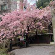 ヒメ日記 2025/06/22 16:09 投稿 みき 熟女デリヘル倶楽部