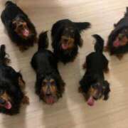 ヒメ日記 2025/07/09 21:38 投稿 みき 熟女デリヘル倶楽部