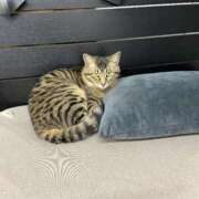 ヒメ日記 2026/06/25 13:45 投稿 みき 熟女デリヘル倶楽部