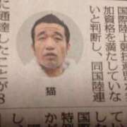 みき シャーシャー猫から 熟女デリヘル倶楽部