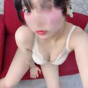 ヒメ日記 2025/12/29 17:07 投稿 れい ごほうびSPA広島店