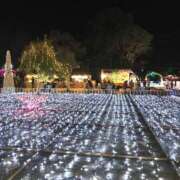 ヒメ日記 2025/12/13 15:58 投稿 【あいみ】業界初挑戦 おねだり宮崎