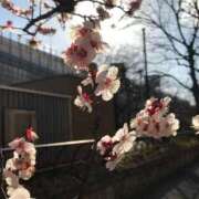 ヒメ日記 2026/03/06 14:34 投稿 ゆき 秘密倶楽部 凛 錦糸町店