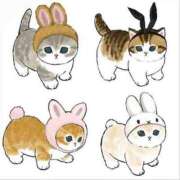 ヒメ日記 2024/12/11 06:07 投稿 ユリア Club Hearts