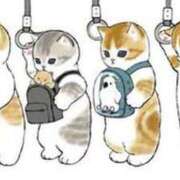 ヒメ日記 2025/01/18 01:56 投稿 ユリア Club Hearts