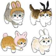 ヒメ日記 2025/02/21 01:39 投稿 ユリア Club Hearts