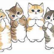 ヒメ日記 2025/03/20 02:30 投稿 ユリア Club Hearts