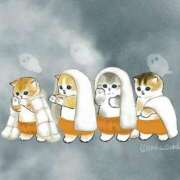 ヒメ日記 2025/03/21 00:22 投稿 ユリア Club Hearts