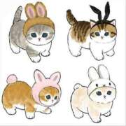 ヒメ日記 2025/03/30 01:38 投稿 ユリア Club Hearts