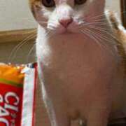 ヒメ日記 2025/09/09 16:02 投稿 ユリア Club Hearts