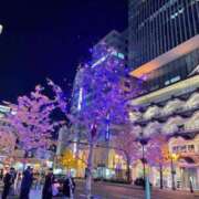 ヒメ日記 2025/12/01 12:28 投稿 ユリア Club Hearts