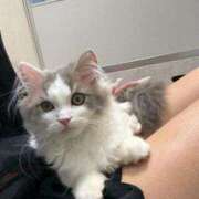 ヒメ日記 2026/01/08 23:12 投稿 ユリア Club Hearts