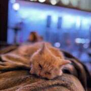 ヒメ日記 2026/02/25 08:38 投稿 ユリア Club Hearts