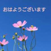 ヒメ日記 2024/10/31 09:20 投稿 大石 錦糸町おかあさん