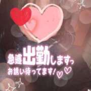 ヒメ日記 2024/12/26 12:00 投稿 大石 錦糸町おかあさん